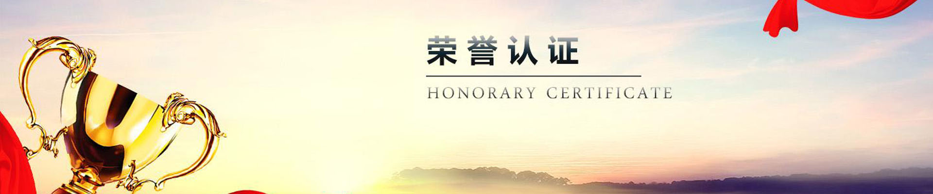 rongyuzizhi